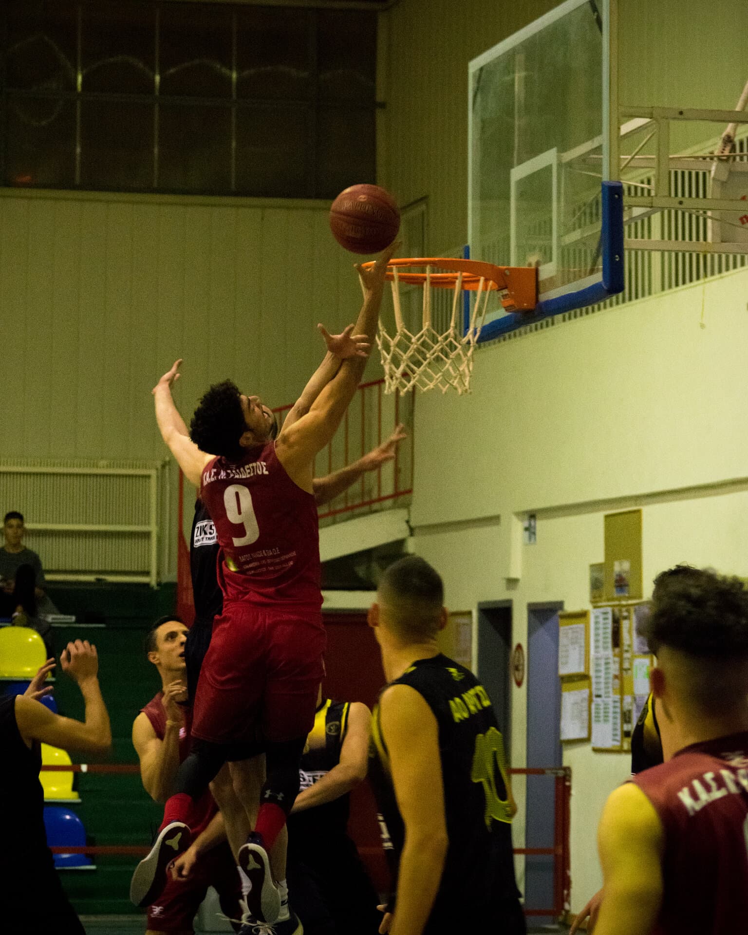 Sports Science studies